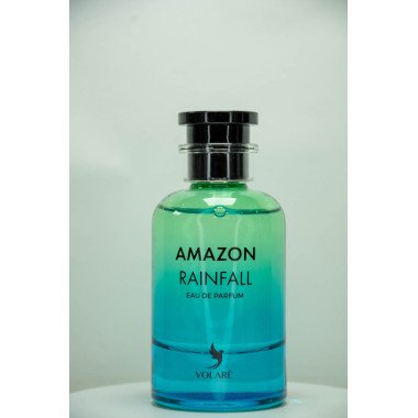 Amazon Rainfall